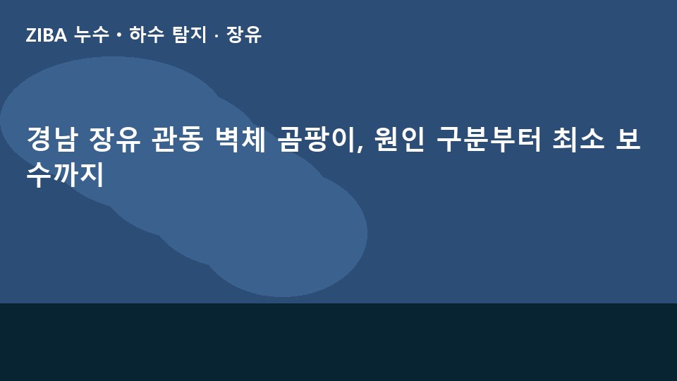 경남 장유 관동 벽체 곰팡이, 원인 구분부터 최소 보수까지