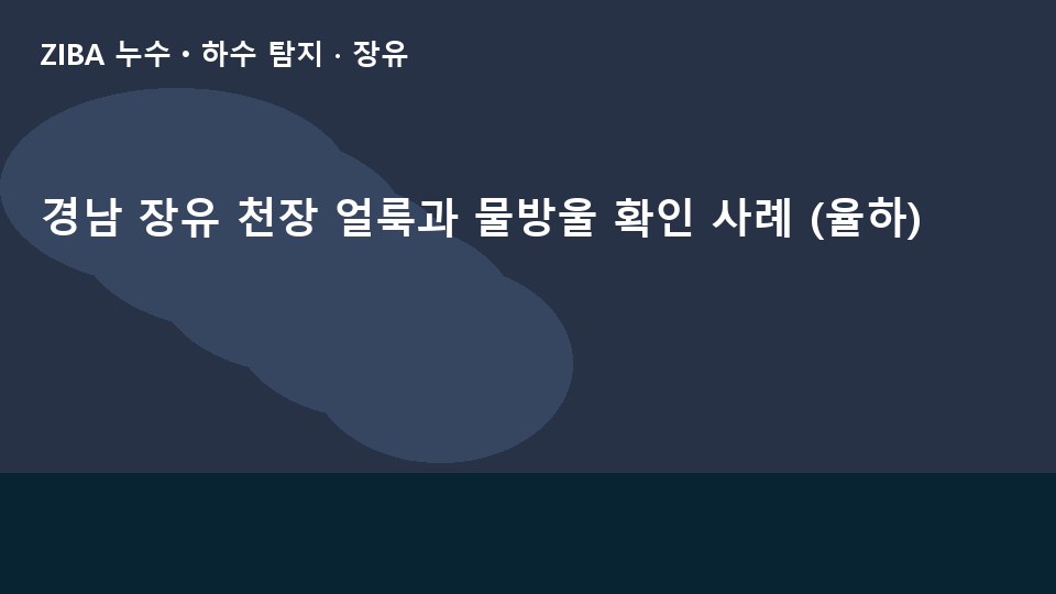 경남 장유 천장 얼룩과 물방울 확인 사례 (율하)